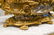 19th C. French Bronze Centerpiece. - 5