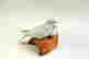 item-76090380=2
