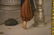 KPM Painted Porcelain Plaque. - 7