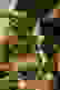 item-76090668=4