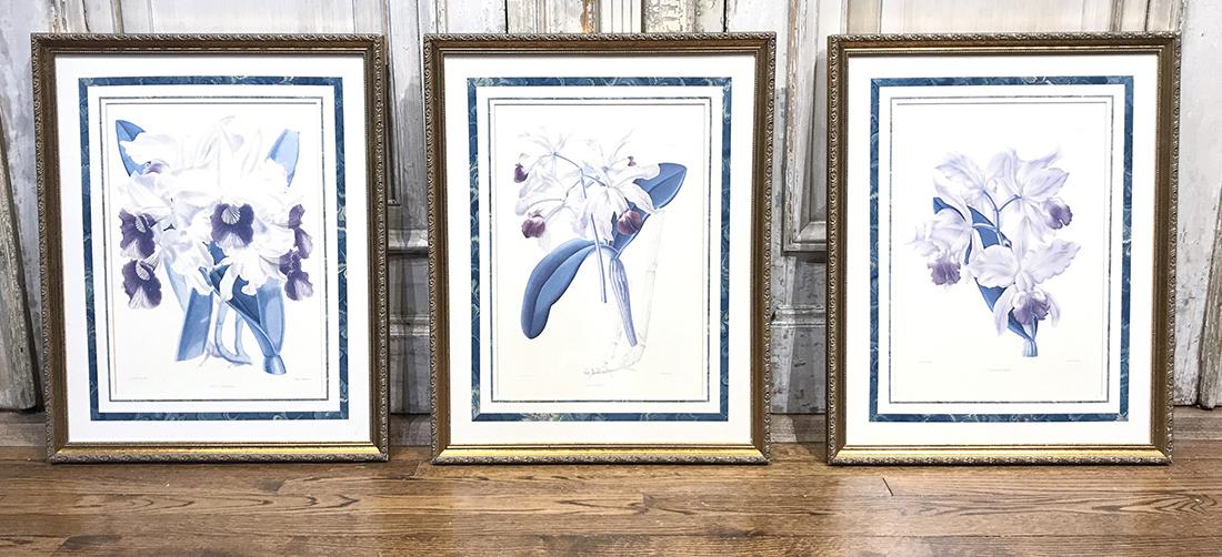 Group Of 3 Botanical Engravings (1 of 4)