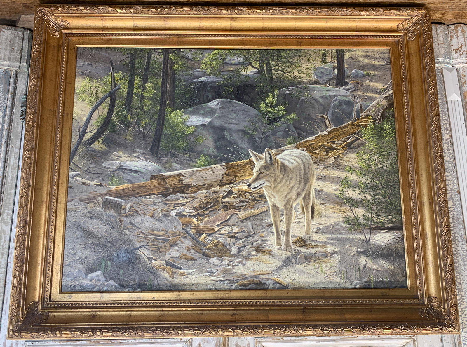Rob Macintosh, South African (b. 1952): Deadwood Prowler, Oil On Canvas; 40 X 50 Large Showy Piece