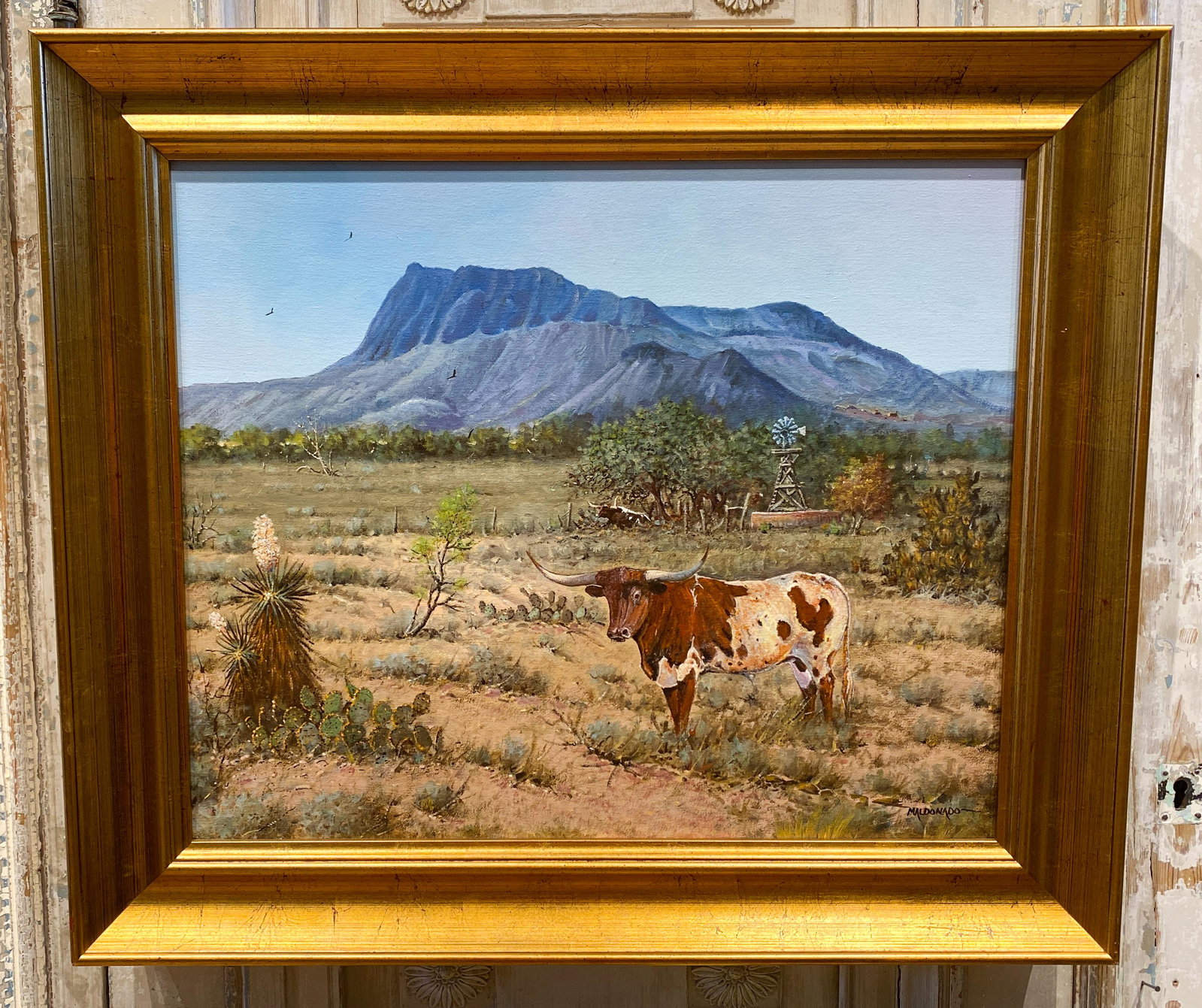 Daniel Maldonado Longhorn, Austin Artist: 20th C. Oil On Canvas 30x26 Texas Artist