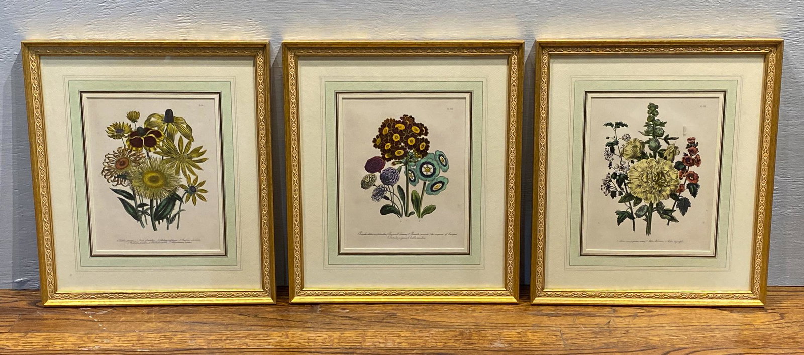 3 Framed Botanicals (1 of 4)