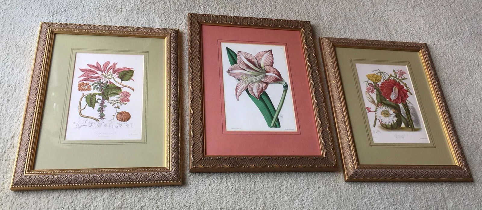 3 Antique Botanical Lithographs (1 of 7)