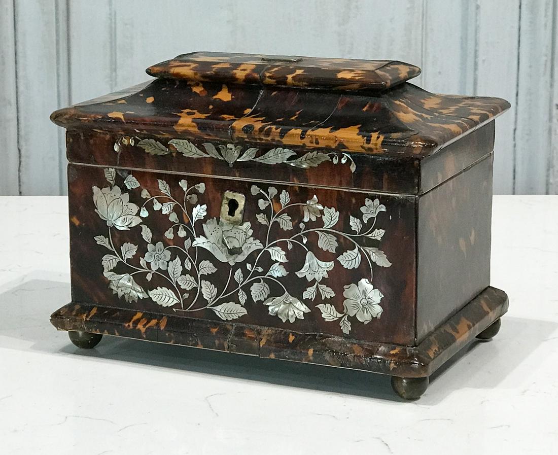 Victorian Tortoise & Abalone Tea Caddy (1 of 9)