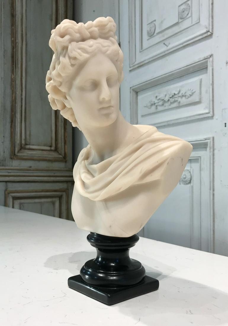 Cast Stone Apollo Belvedere Cabinet Bust (1 of 5)