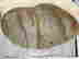 item-134357425=12