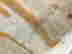 item-134357425=13