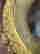 item-134357458=16
