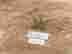 item-134357739=11