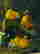 item-134357909=3