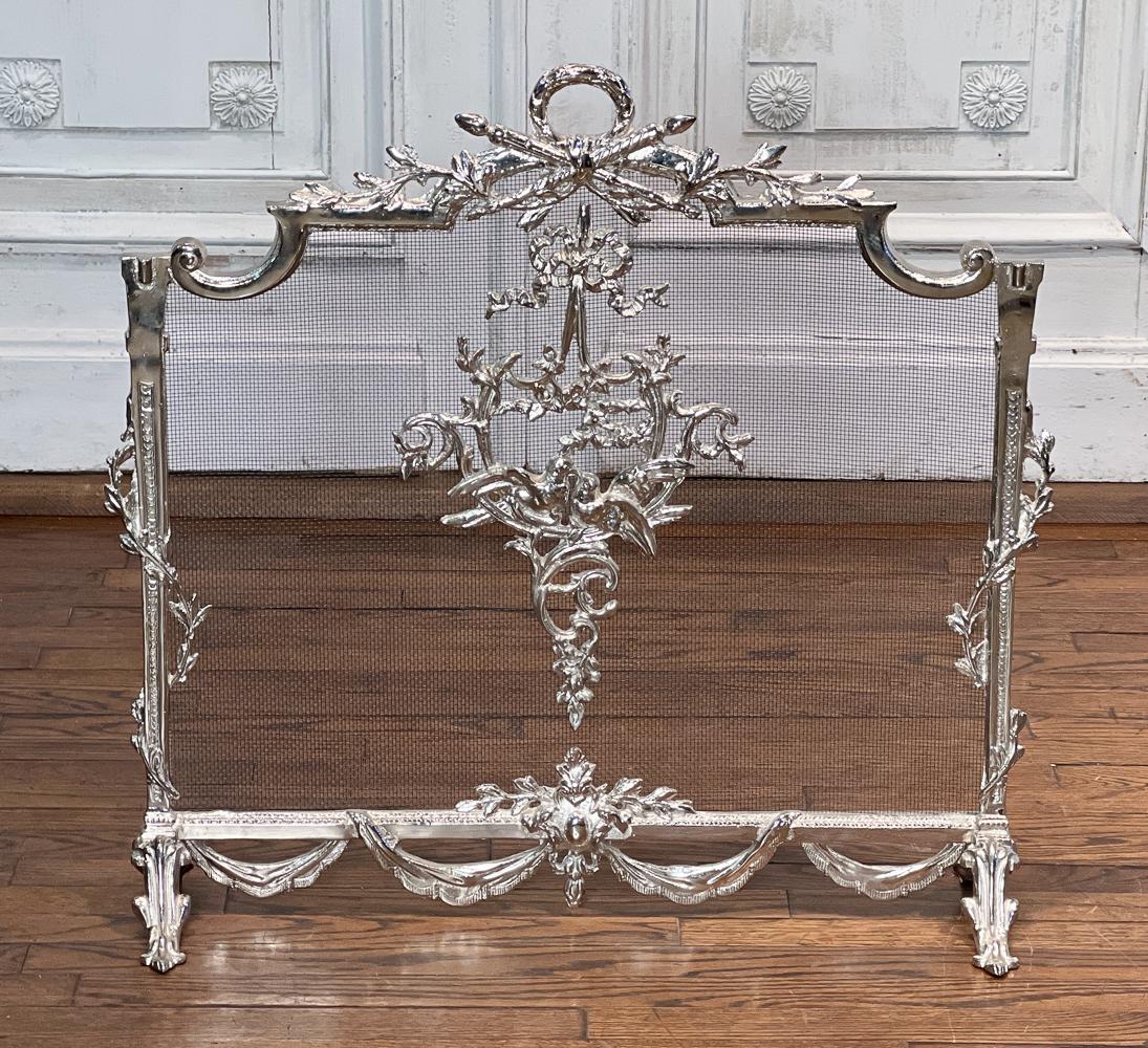 French Chromed Fire Screen (1 of 9)