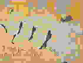 Henri De Toulouse-Lautrec, French, 1864-1901 First Image