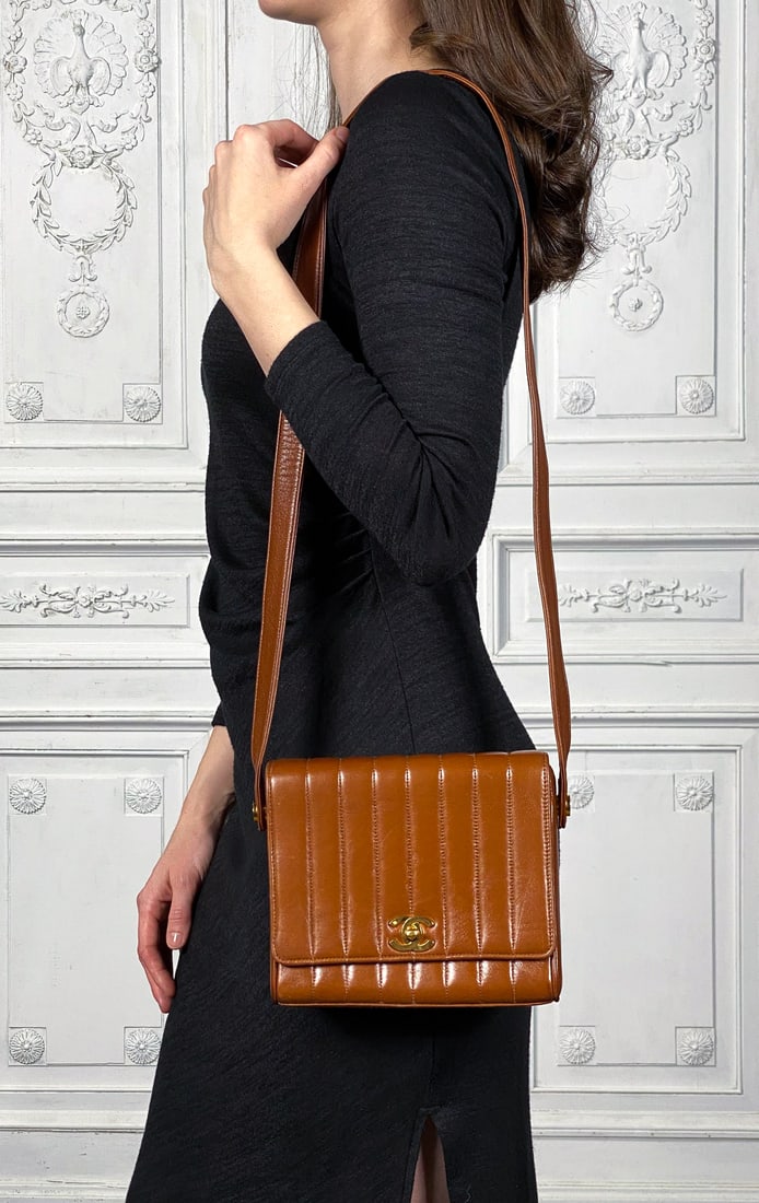 Chanel Mademoiselle Vertical Flap Bag (1 of 7)