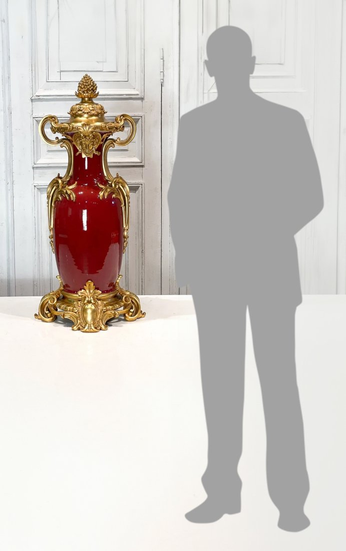 Fine Gilt Bronze Mounted Sang De Boeuf Vase (1 of 15)