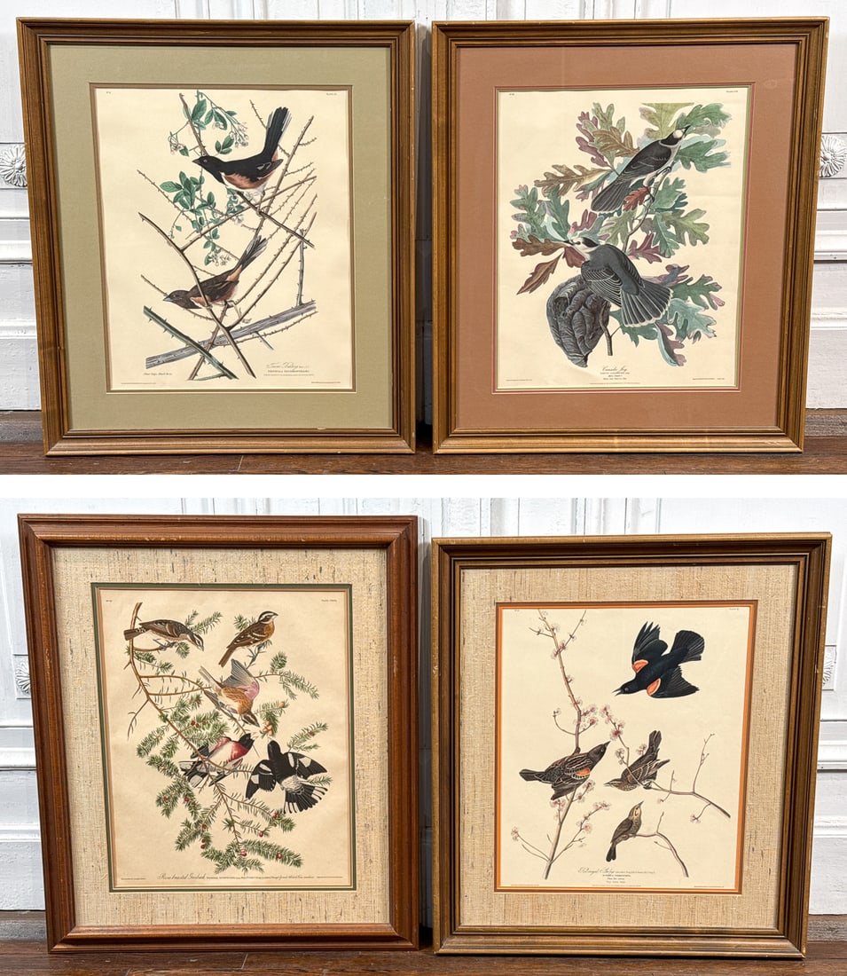 Four Ornithological Prints After Audubon (1 of 7)