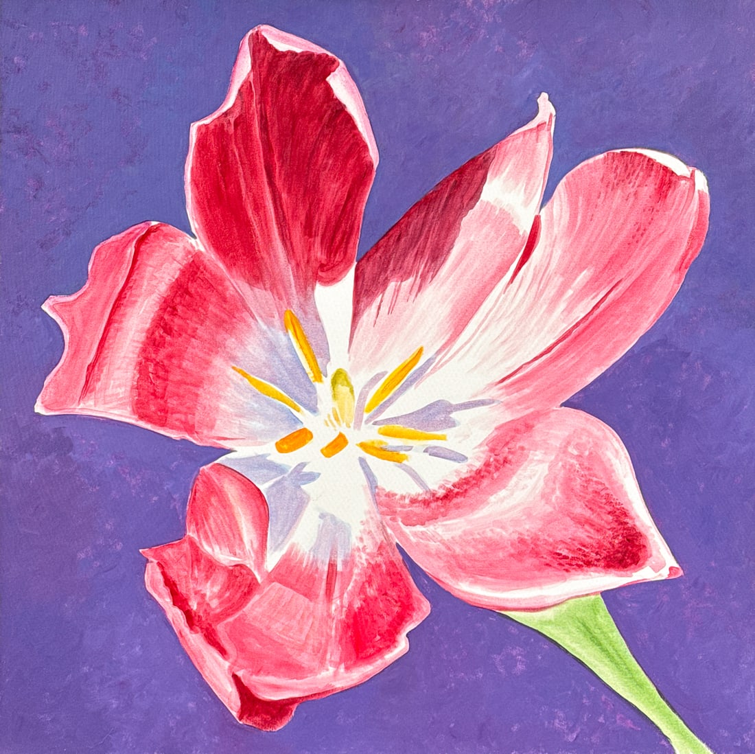 Attr. Tim Saska, American, Texas, 1935-2006: Attributed To Tim Saska, American, Texas, 1935-2006, Pink Tulip Still Life, Oil On Canvas, Unsigned, Unframed 36 X 36 X 1.5 Inches, Paint Surface Stable, Edges Light Abrasions, Dust Verso. See Photos.