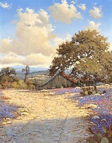 Randy Peyton, American, Texas, Born 1948