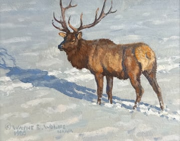 Wayne Wolfe, American, Colorado, Born 1944