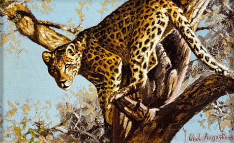 Paul Augustinus, Danish, Botswana, Born 1952