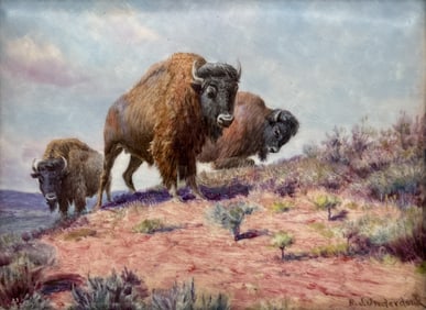 Robert Jenkins Onderdonk, Am., Texas, 1852-1917