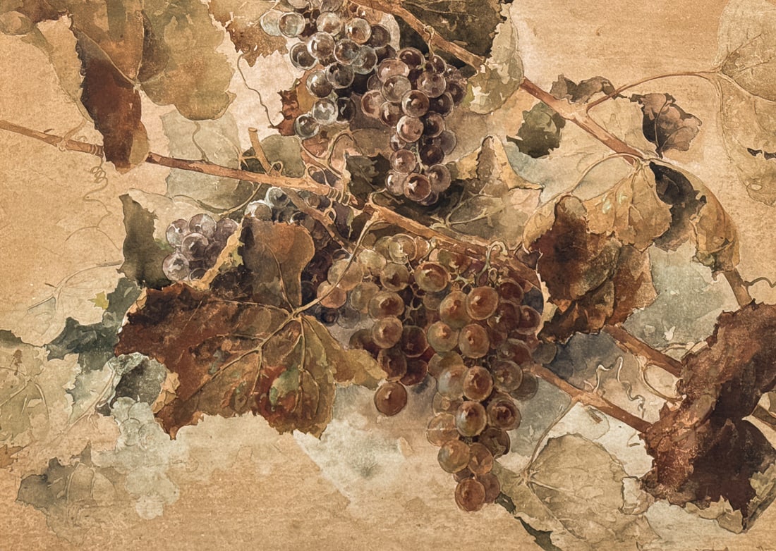 Franz Arthur Bischoff, Austrian, 1864-1929: Franz Arthur Bischoff, Austrian, 1864-1929, Still Life Of Grapevine, Watercolor On Paperboard, Signed Lower Right, Sight 17.5 X 23 Inches, Later Mat And Frame, 34 X 40 X 2.5 Inches, Toning To Paper, F