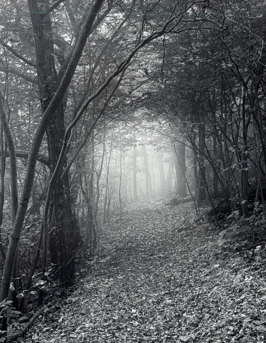 Hullihen Williams Moore, American, Born 1942 (1 of 4)