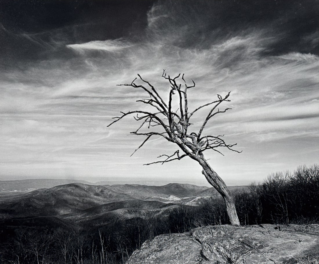 Hullihen Williams Moore, American, Born 1942: Hullihen Williams Moore, American, Born 1942, Baldface Mountain Overlook, 1988, Gelatin Silver Print, Mount Pencil Signed Lower Right Edition 76/100 Lower Left, Sheet 10 X 12 Inches, Matted And