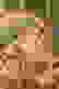 item-21299264=3
