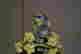 item-29932823=3