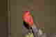 item-29932839=3