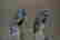 item-29932847=6