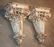Pair 19th C. French Terra Cotta Wall Brackets - 5