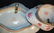 Group Of Antique Chinese Scalloped Dishes - 9