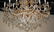 Fine 18-light Italian Chandelier - 7