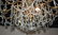 Fine 18-light Italian Chandelier - 8