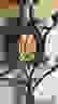 item-45114239=3