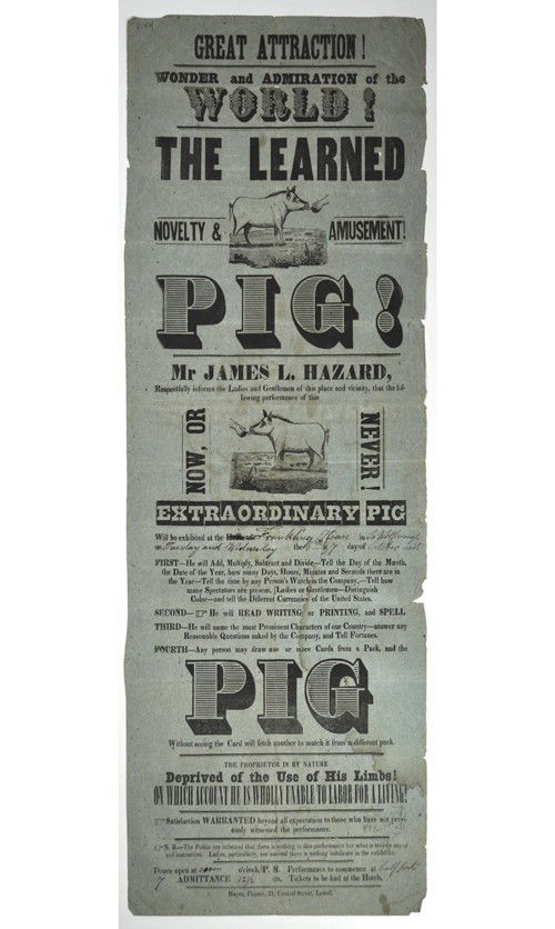 HAZARD, JAMES L. The Learned Pig Broadside: HAZARD, JAMES L. The Learned Pig Broadside (1837), measures 10” x 23 ½” Hazard’s version of William Frederick Pinchbeck’s attraction. He will add, multiply, subtract and divide – Tell the d