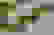 item-13035485=2