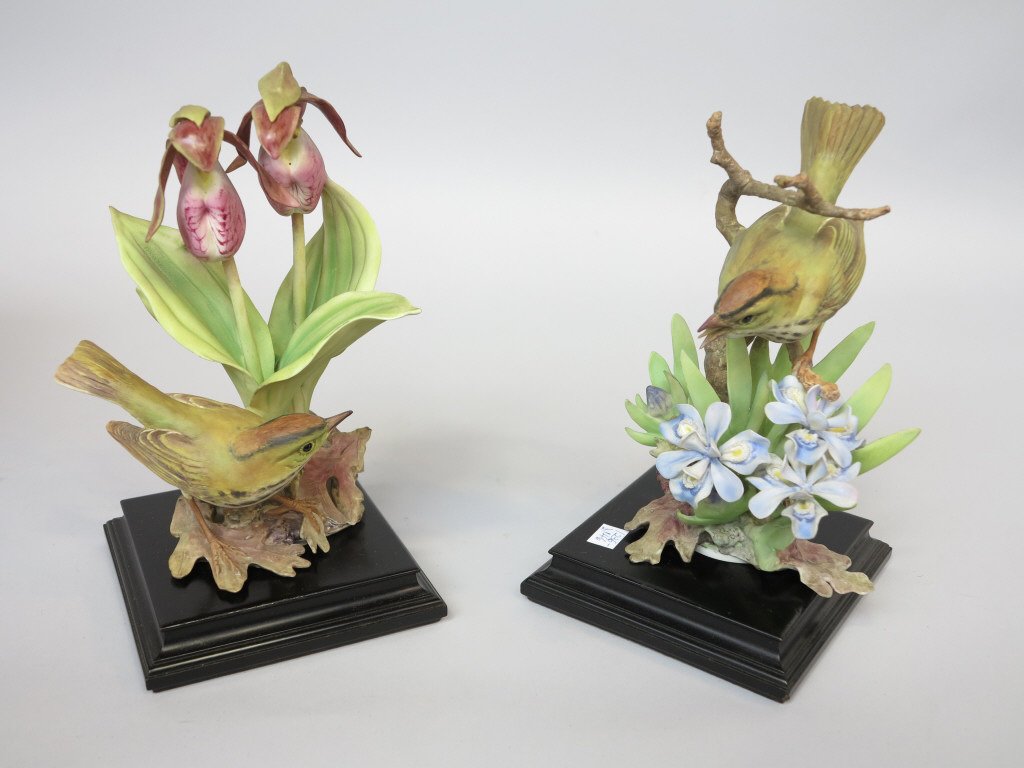 PAIR ROYAL WORCESTER D. DOUGHTY OVEN BIRDS: The cock and hen perched on crested iris and lady's slipper. With wood bases. Boxed. Measures: H. 10" each