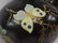 Pair French porcelain enameled bronze mounted lamps - 4