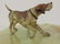 2 Vienna bronze cold painted dogs, Irish setter - 7