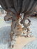 Pair large 19th Century Greek Revival style planters - 10