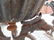 Pair large 19th Century Greek Revival style planters - 11