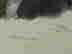item-64307231=7