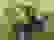 item-65428548=4