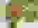 item-65428852=5