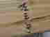item-69710734=5