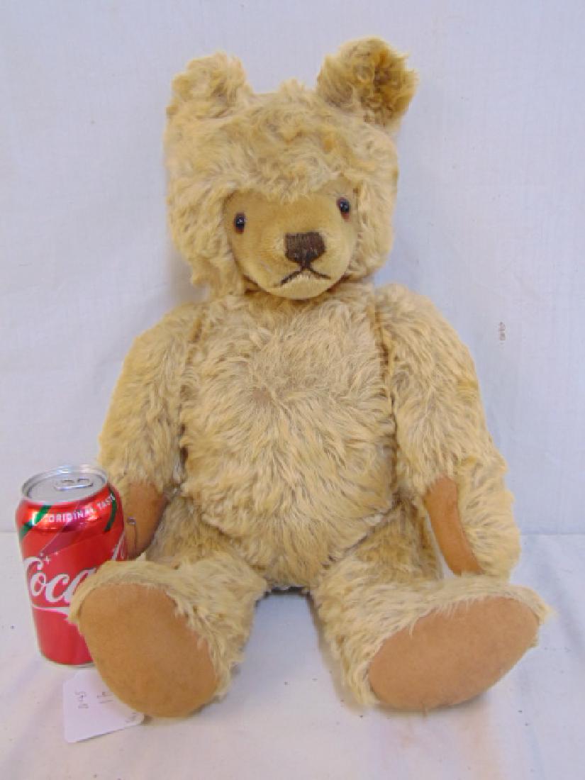 Steiff teddy bear, 20" body, good fur, has eyes,: Steiff teddy bear, 20" body, good fur, has eyes, button, growls